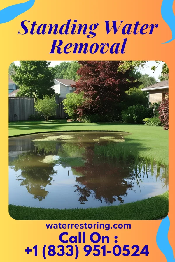 Standing Water Removal in Midway, LA